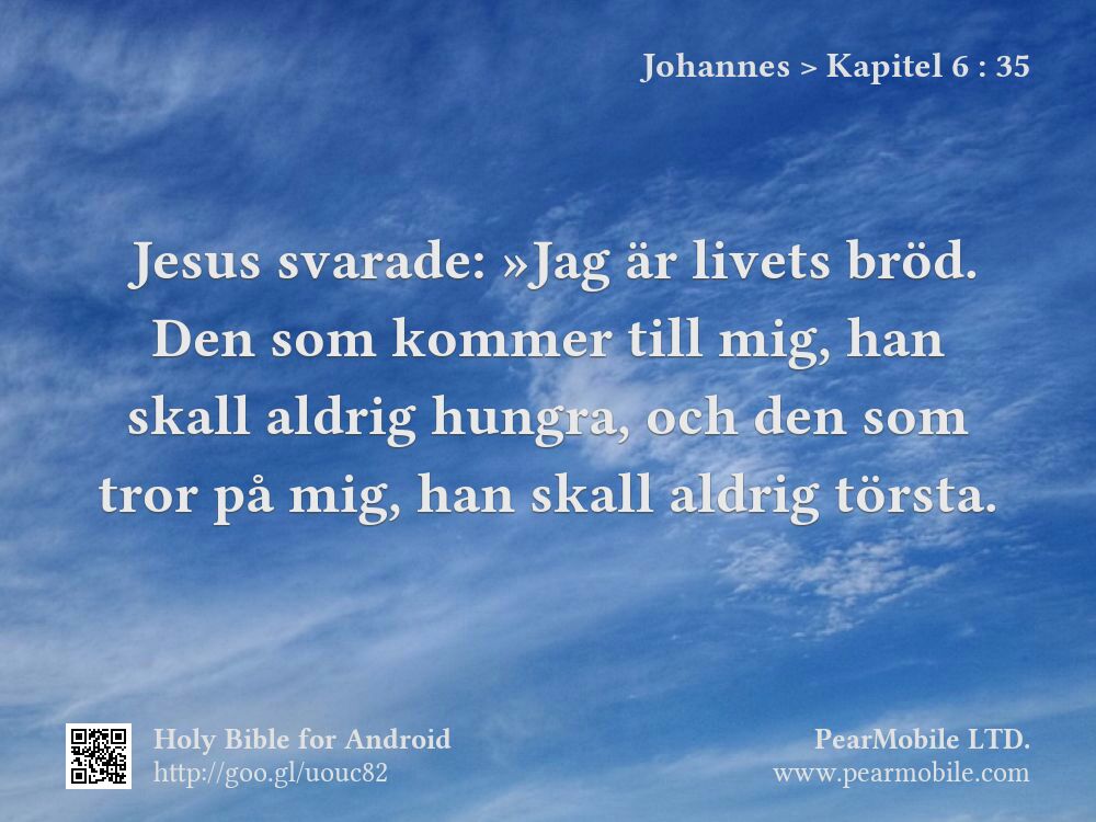 Johannes, Kapitel 6:35